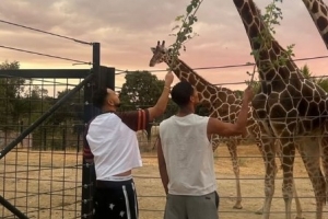 難得閑暇時(shí)光，皇馬中場(chǎng)貝林厄姆社媒曬和長(zhǎng)頸鹿互動(dòng)照