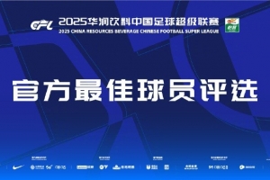 中超第24輪最佳球員候選：瓦科、劉若釩、哈達(dá)斯、鐘義浩、茹子楠