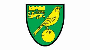 福利多多！諾維奇宣布招聘財務會計師，要求積極主動、善于分析