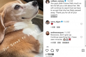 拉姆塞夫婦談愛犬失蹤：會(huì)繼續(xù)尋找，但不得不接受狗狗可能離世
