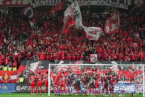 馬德興：海港球迷很少高調(diào)只默默跟隨，沒招惹任何一方更不樹敵