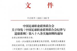 中足聯(lián)發(fā)紀律細則：賽區(qū)球隊對觀眾行為負責，多類不當行為從重罰