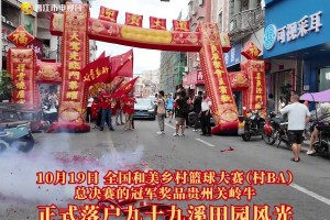 “雙生鏡像”奧薩爾-湯普森！活塞暗藏的防守藝術(shù)家！