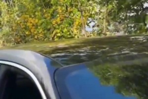 阿莫林開著保時(shí)捷上班心情大好，還有美女球迷合影留念??