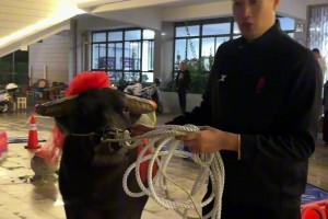 ??兄弟們，又又又拿冠軍了！