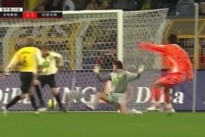 晃倒后衛(wèi)逆足射門！07年德甲邵佳一攻破多特蒙德城門！